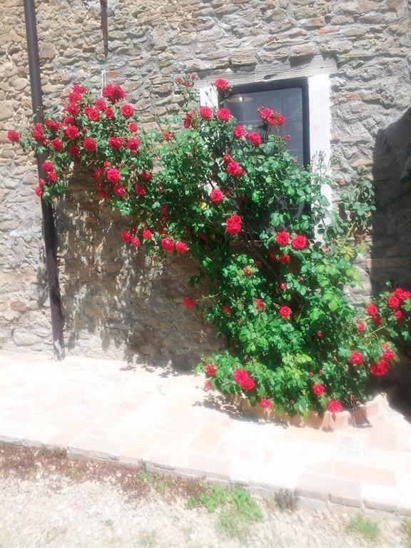Agriturismo Mirasole Predappio Eksteriør billede
